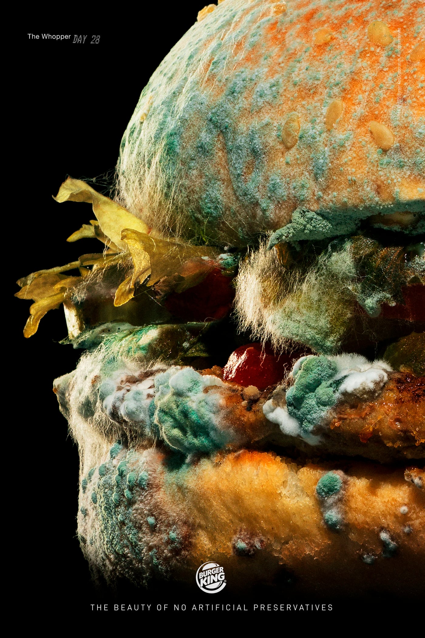 Burger King — The Moldy Whopper